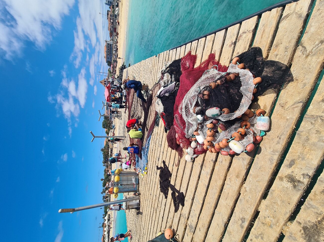 The pier Santa Maria景点图片