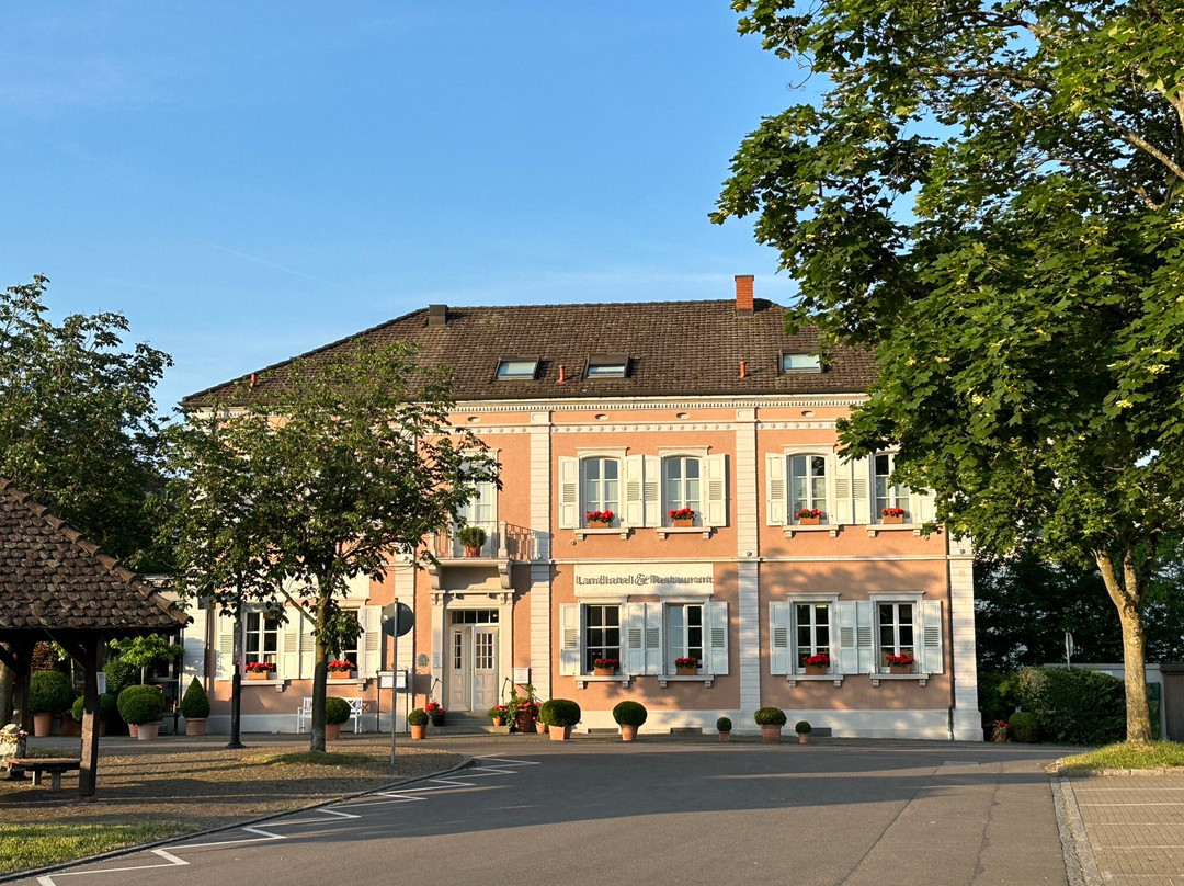 Landhotel & Restaurant Walsers主图