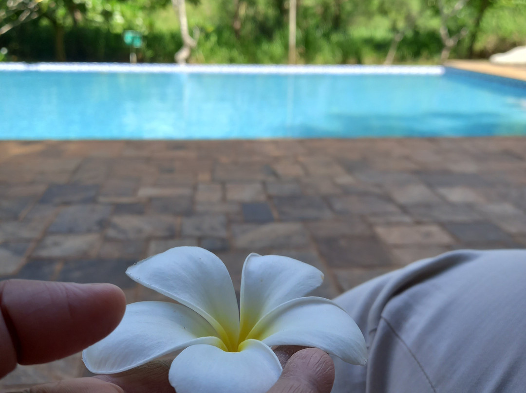 锡吉里亚安亚拉森林酒店主图