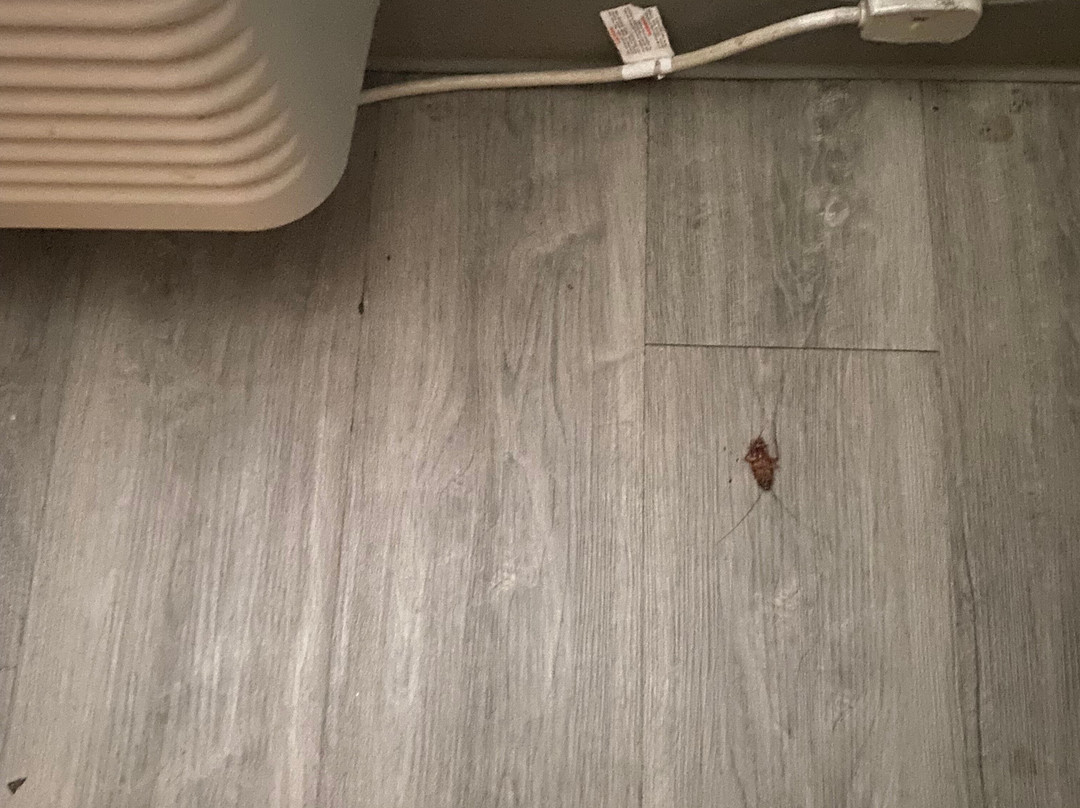 WoodSpring Suites Charlotte Gastonia主图