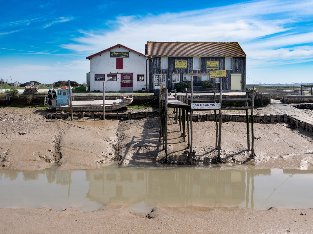 Port Ostréïcole De Marennes景点图片