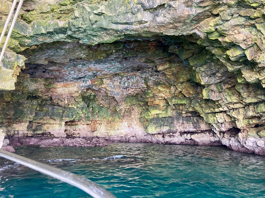 Blue Moon Escursioni-波利尼亚诺阿马雷必去景点