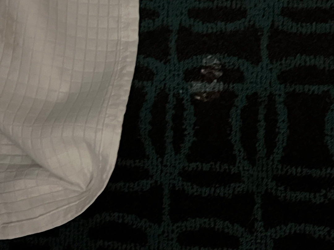 剑桥套房戴斯旅馆主图