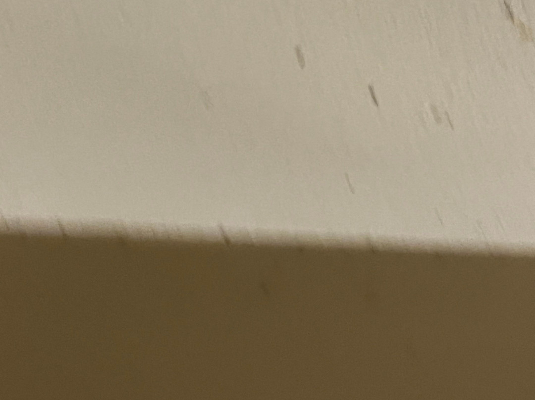 Hôtel de la Rive主图