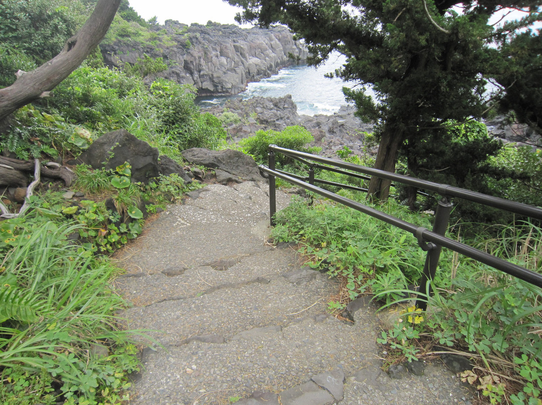 Jogasaki Beach Picnical Course景点图片