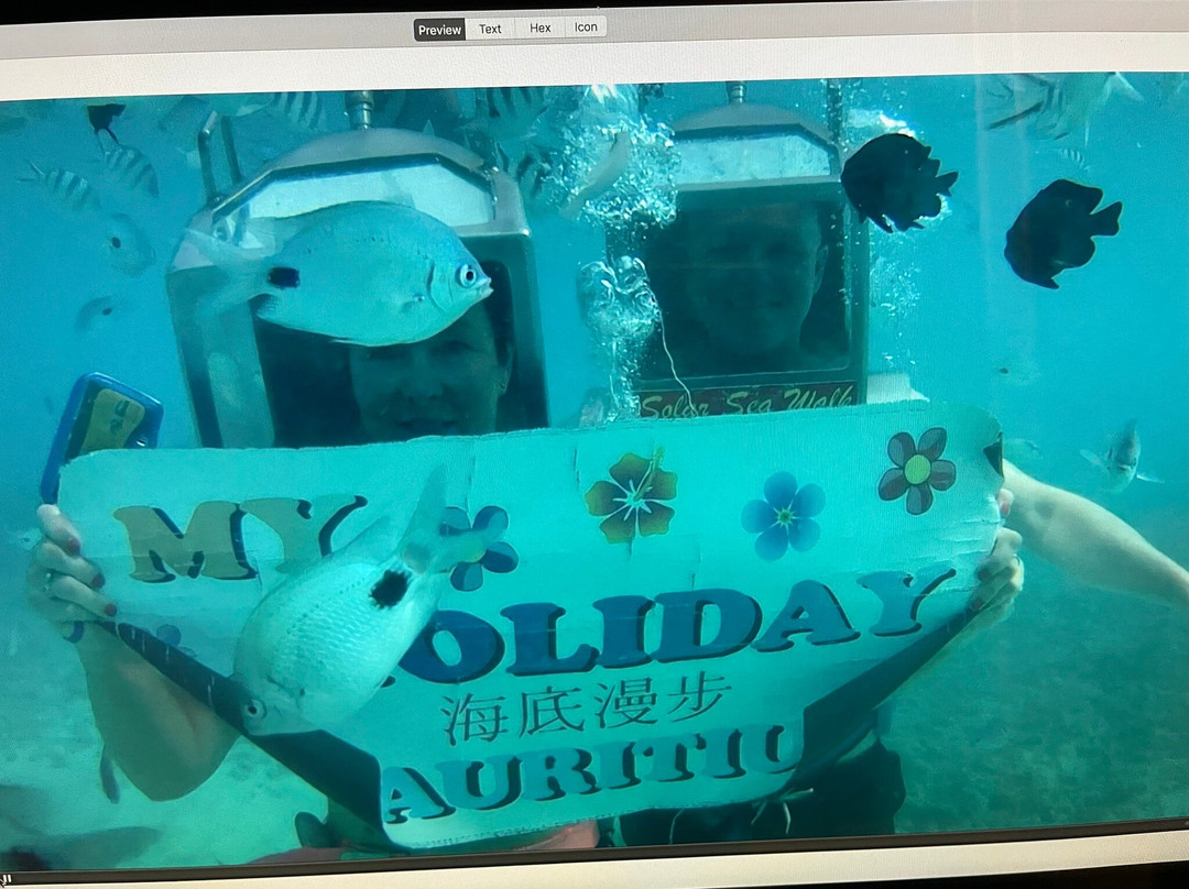 Solar Sea Walk (Undersea Walk Ltd)-大湾必去景点