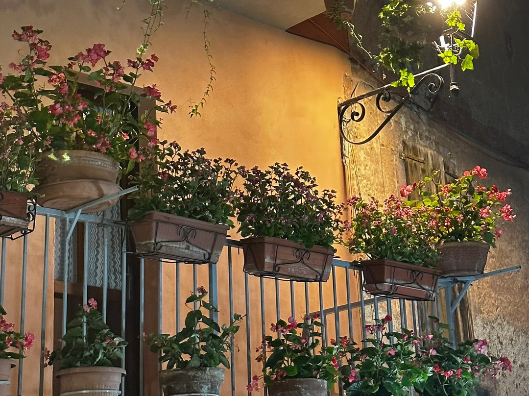 Borgo Medievale景点图片