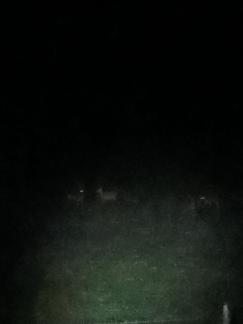 Ferme du Grand Hetre-官方