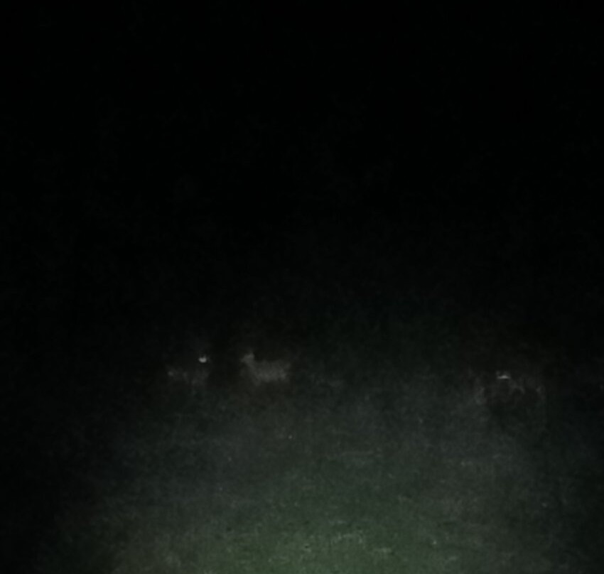 Ferme du Grand Hetre主图