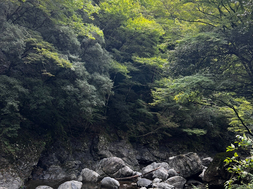 Seno Falls景点图片