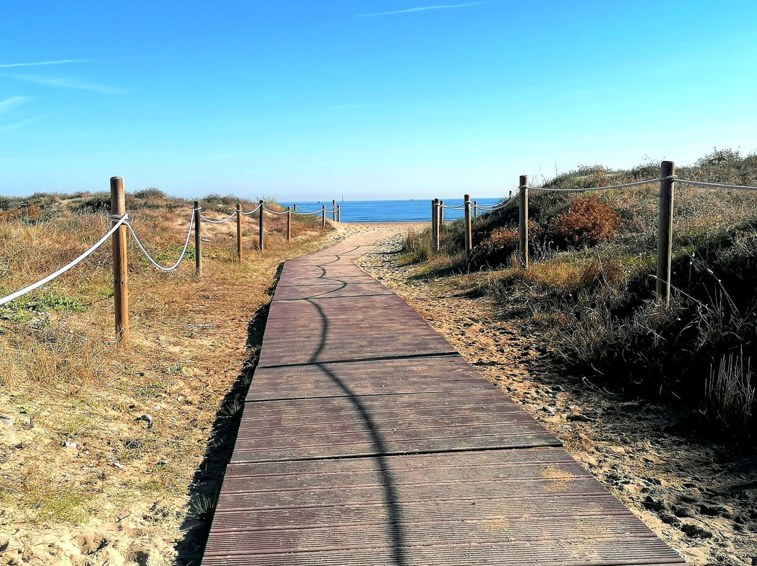 Platja De Canet D'en Berenguer景点图片