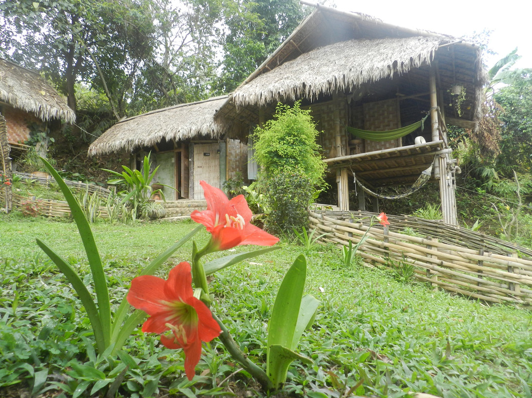 Art Khamu Homestay主图
