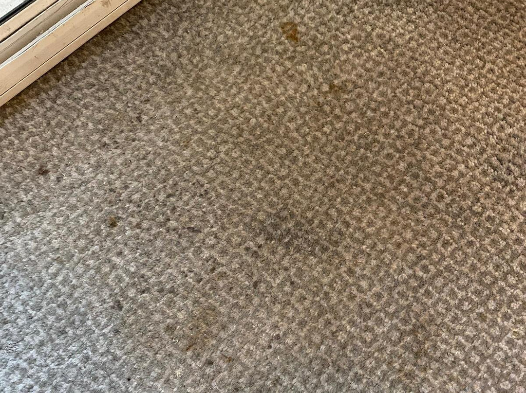 The Warren Lodge Hotel主图