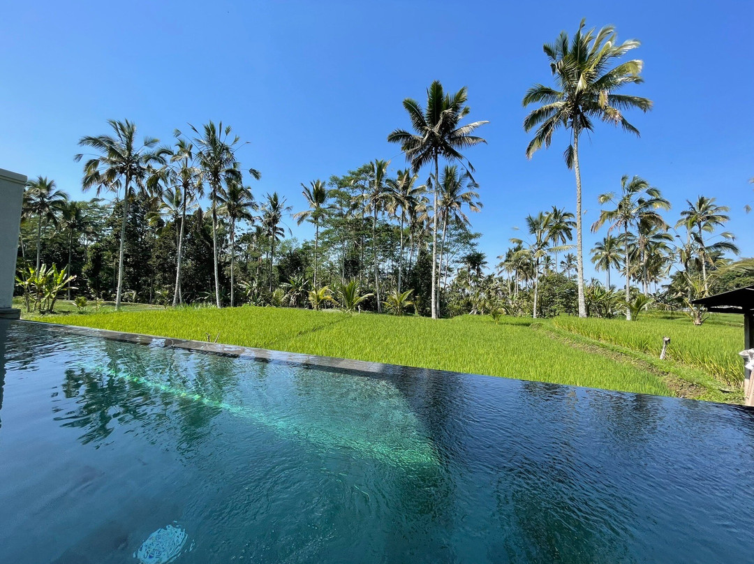 Taro酒店住宿-Stanagiri Villas Ubud