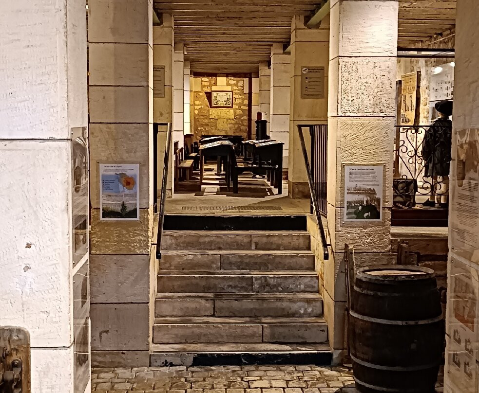 Musée des Commerces d'autrefois景点图片