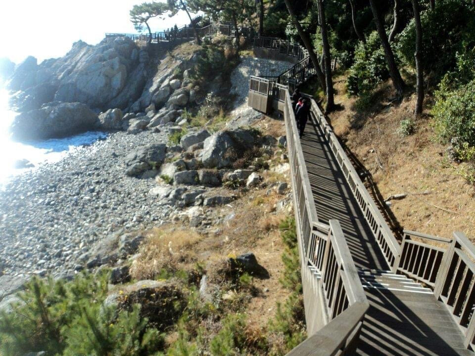 Dongbaekseom-釜山必去景点