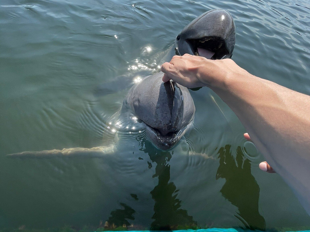 Oasis Sea World-廉信必去景点