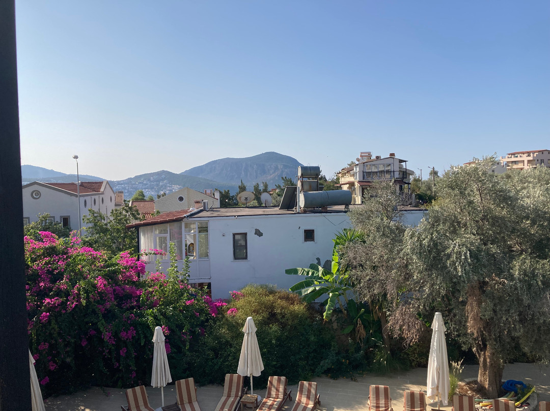 Pasha Apart-Hotel主图