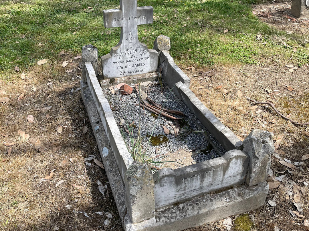 Pioneer Cemetery-Tumut必去景点