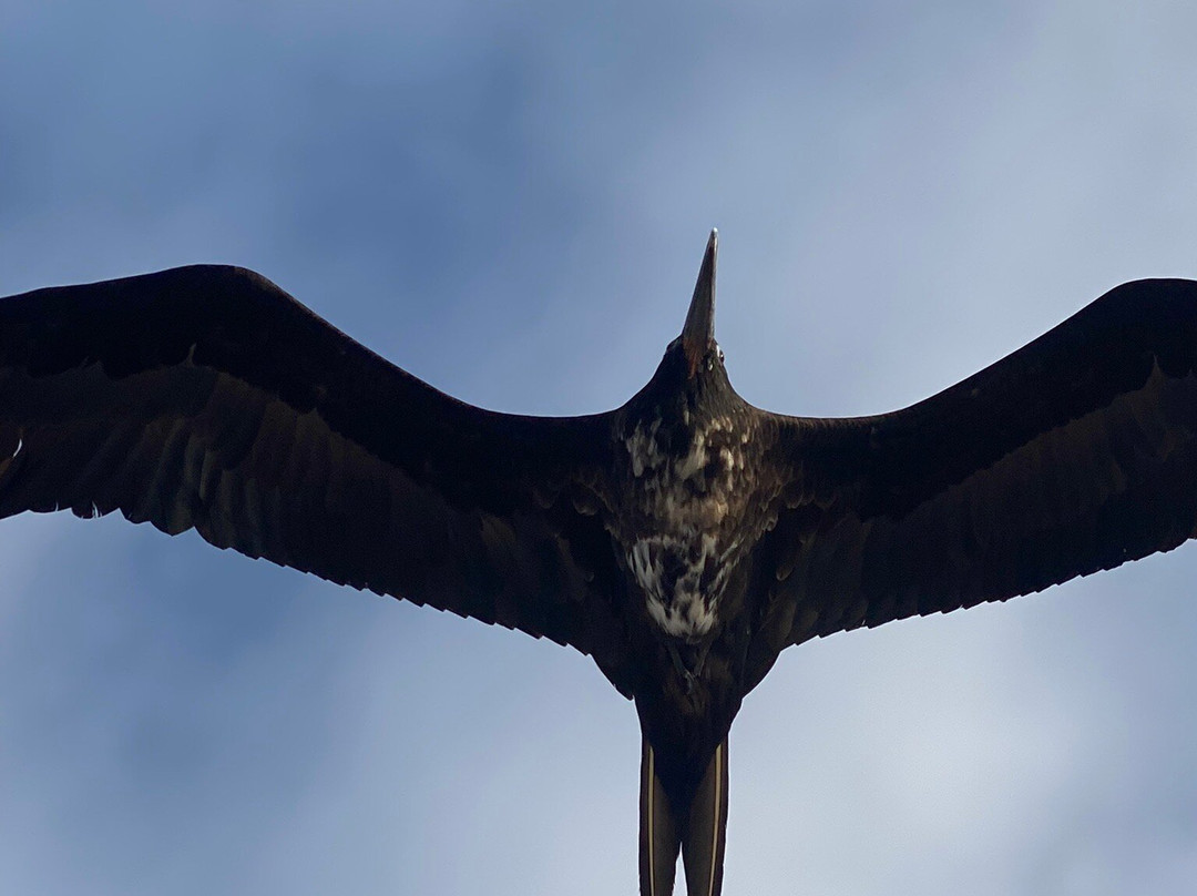 GALAPAGOS ECUADOORS-圣克鲁斯必去景点