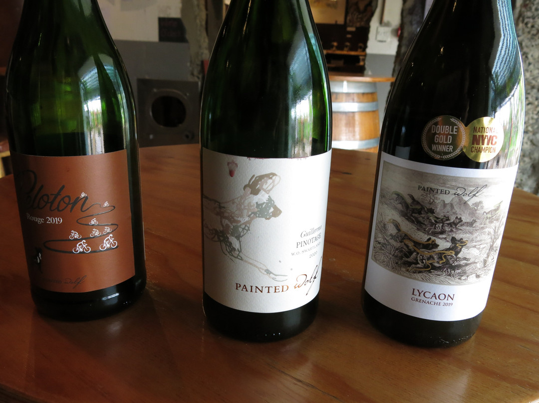 Painted Wolf Wines-帕尔必去景点
