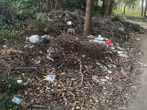 莱芙蔻海景大酒店主图