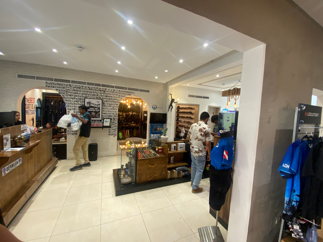 Bermuda Diving Center-迪拜必去景点