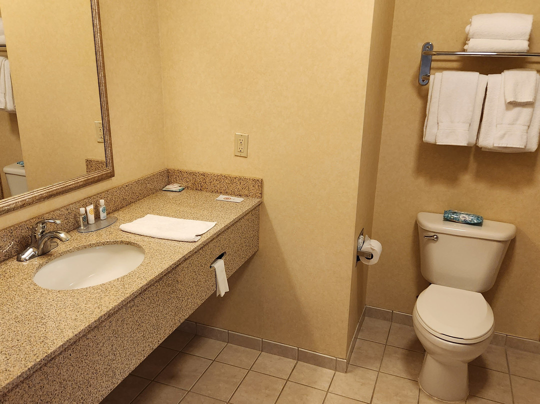 Comfort Inn & Suites主图