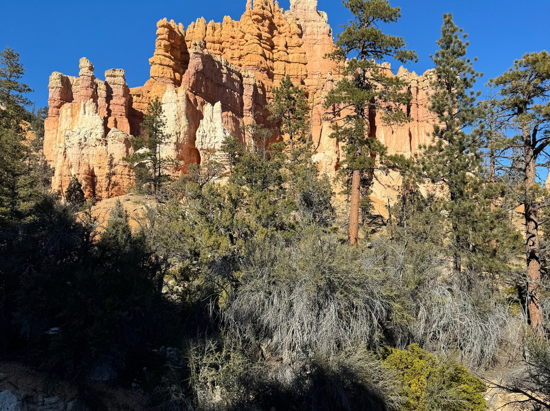 Fairyland Loop-布莱斯峡谷国家公园必去景点