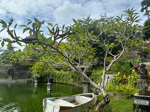 Gede Private Bali Driver-沙努尔必去景点