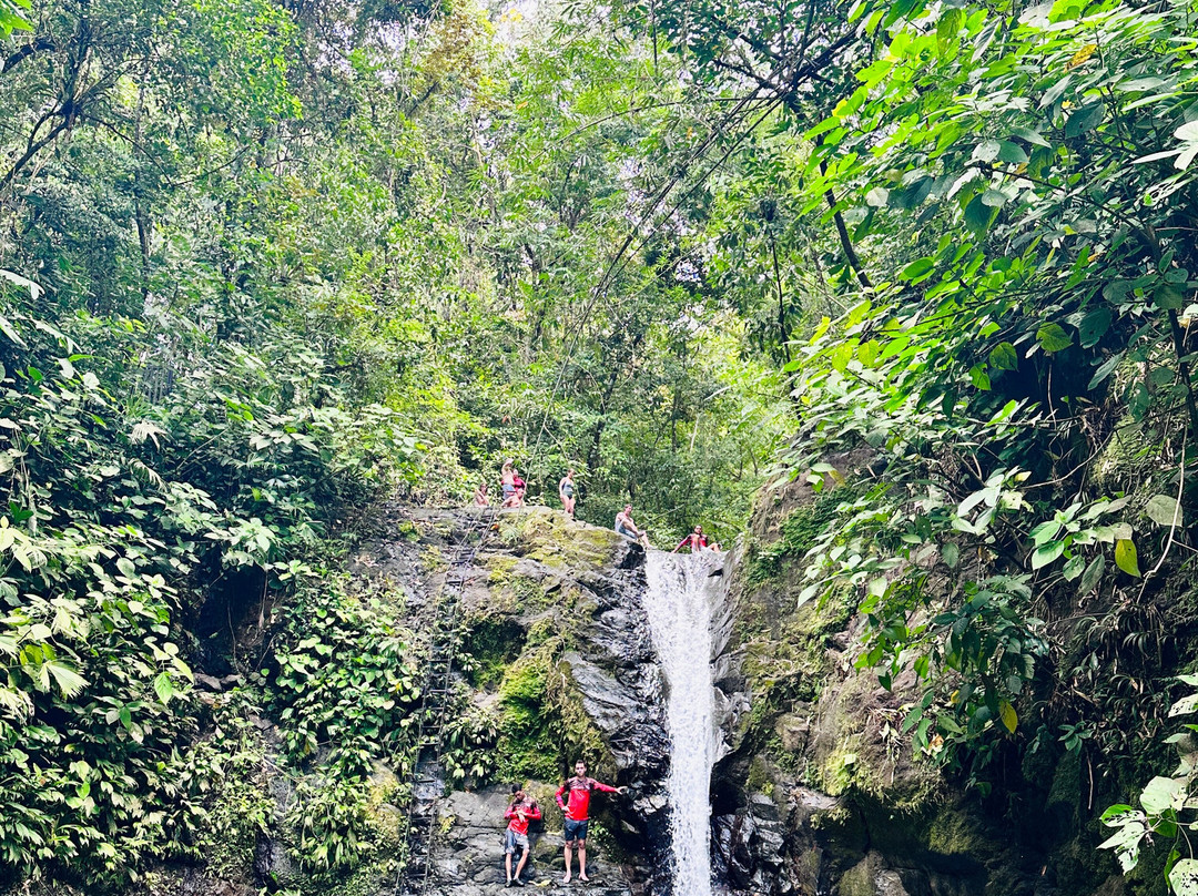 Tropical Waterfalls Tour景点图片