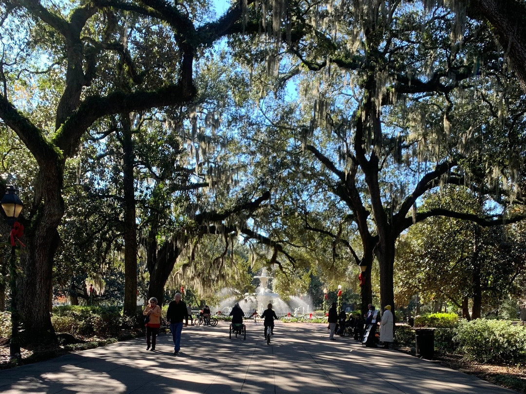 Savannah Bike Tours景点图片