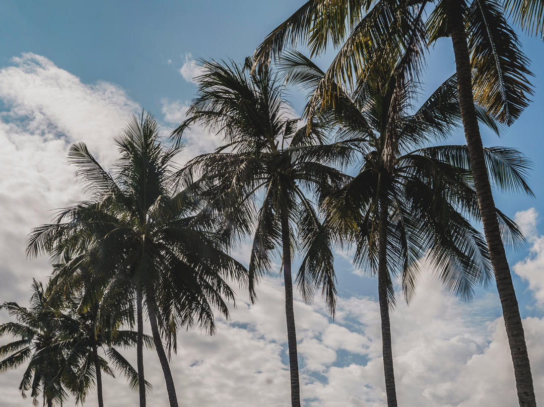 The Tiing Tejakula Villas主图