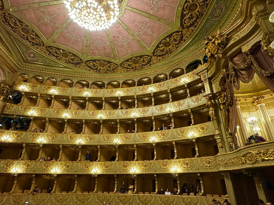Teatro Nacional de São Carlos景点图片