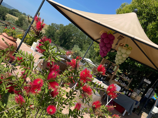 Tenuta di Freddano-奥尔维耶托必去景点