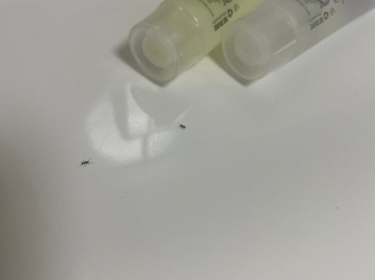 海湾别墅度假村主图