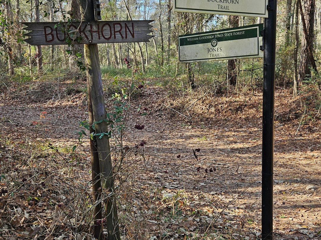 W. G. Jones State Forest-Conroe必去景点