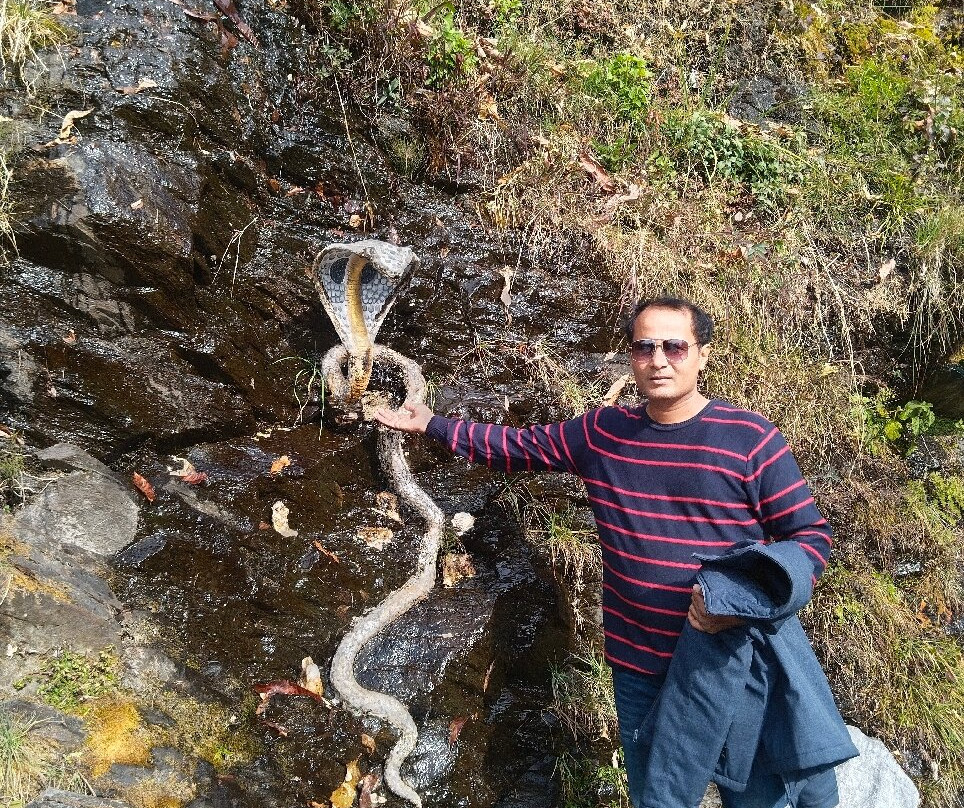 Bhagsu Waterfall景点图片