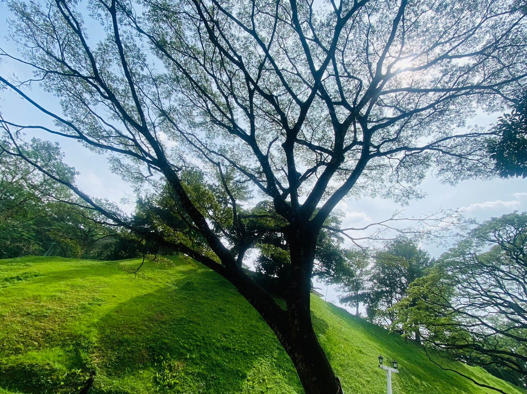 Sri Lanka Escorted Tours景点图片