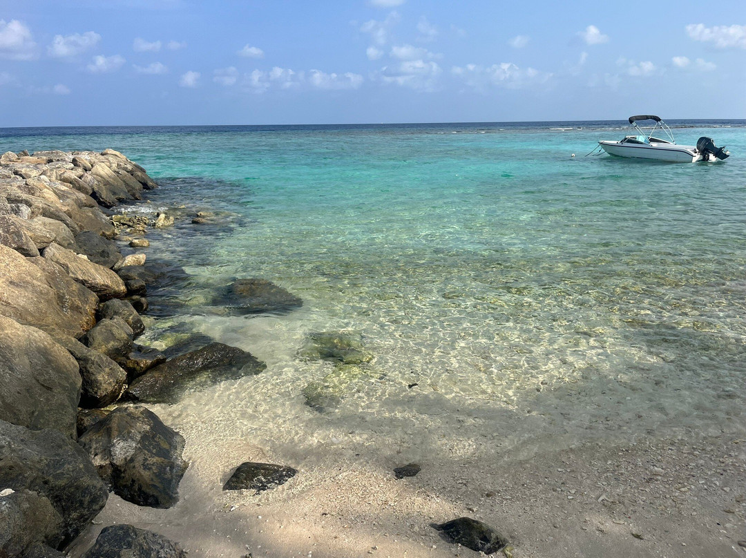 Summer Vibes Beach Front主图