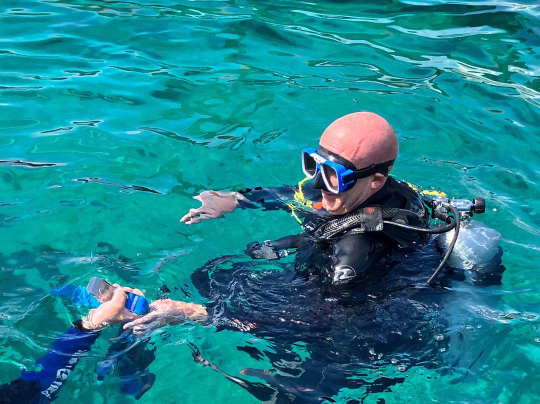 Dive Port Barton景点图片