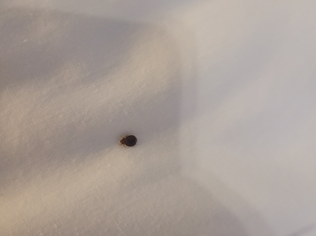 Walkerton Inn Motel主图