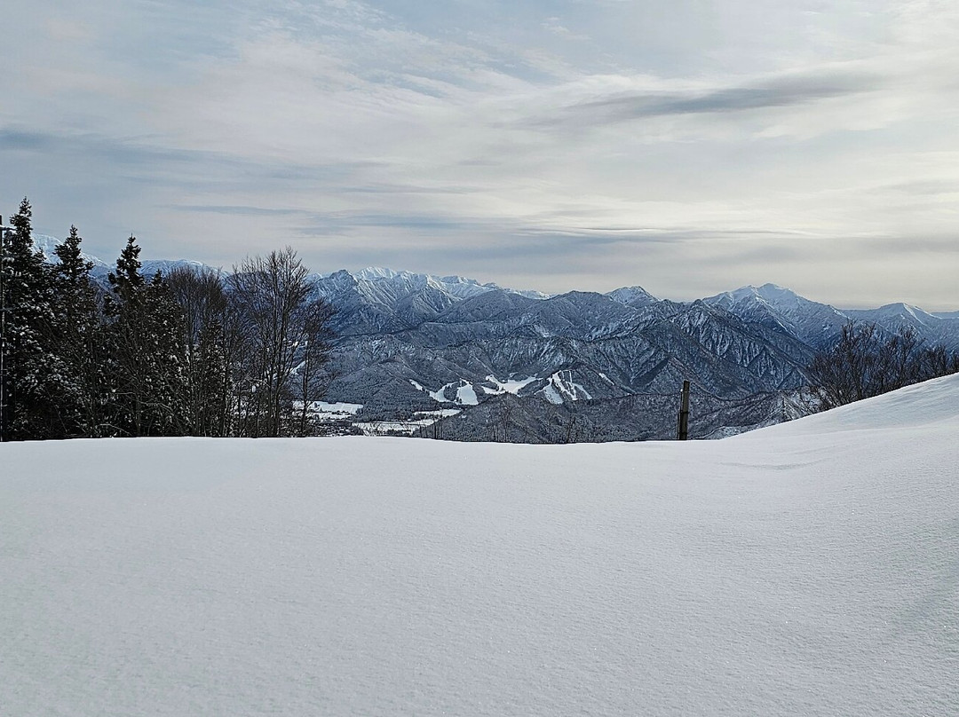 Yuzawa Kogen景点图片