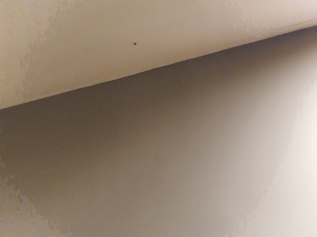 Sun Beach Hotel主图