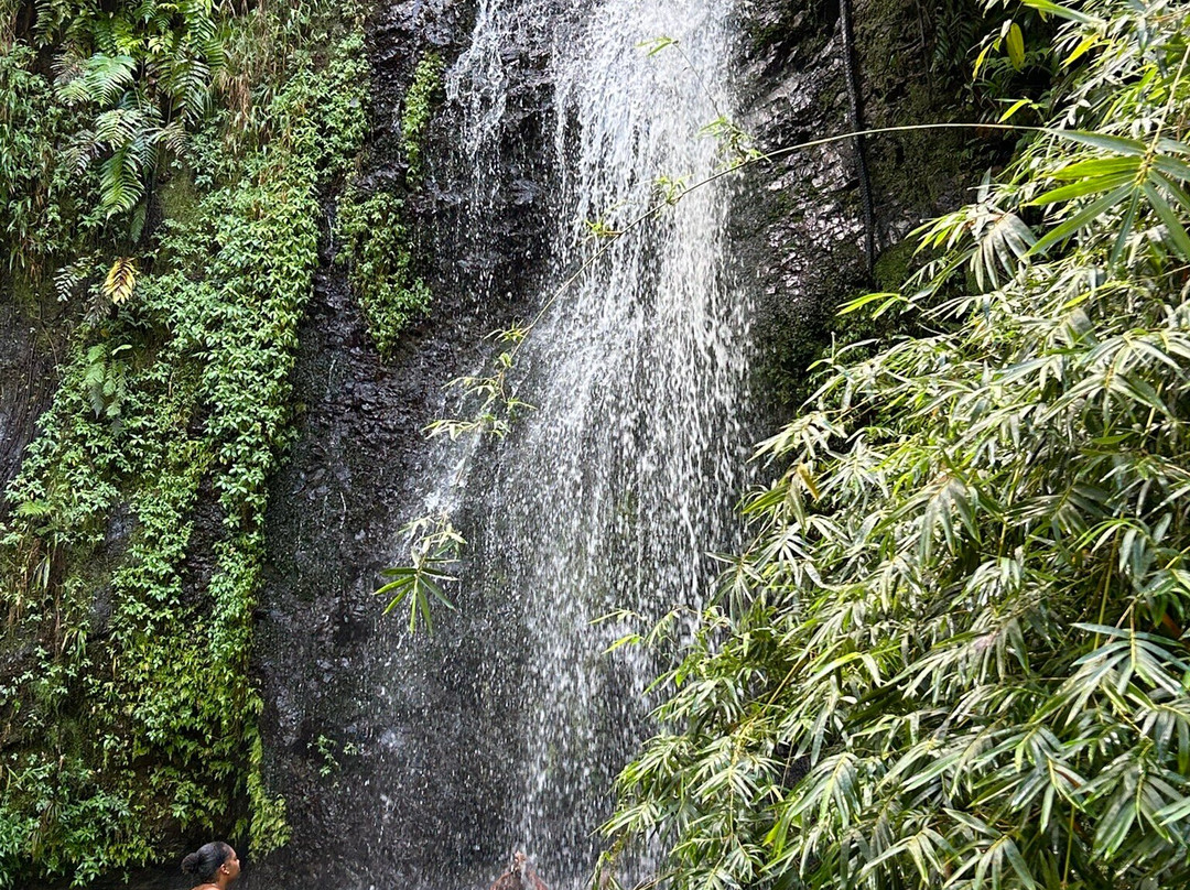 Le SDG - Cascade-Fonds Saint Denis必去景点