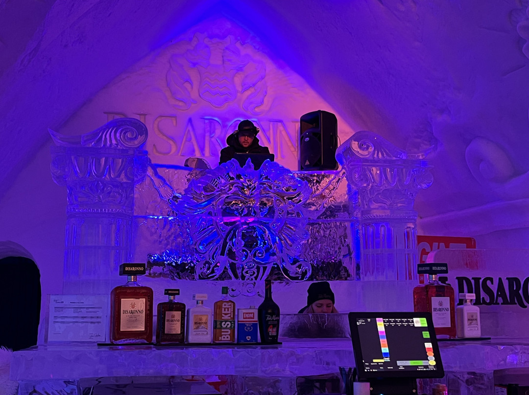 Hotel de Glace Ice Bar景点图片