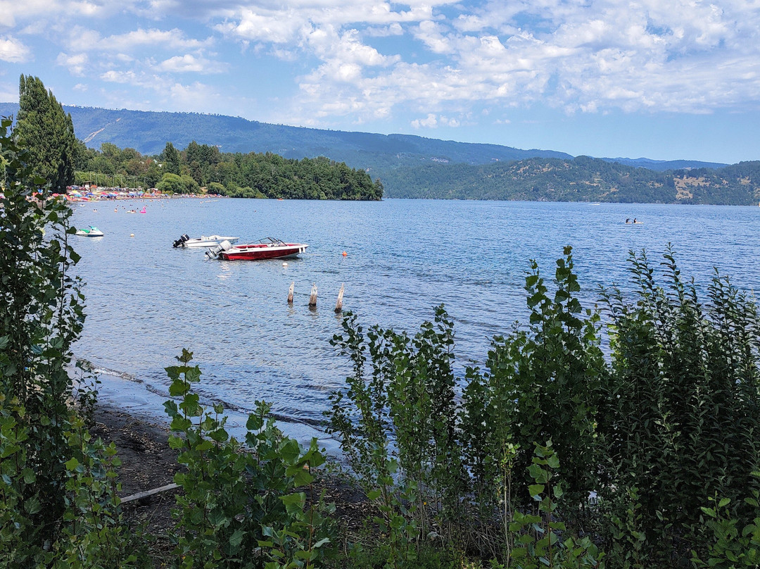 Fortin Mapuche-Conaripe必去景点