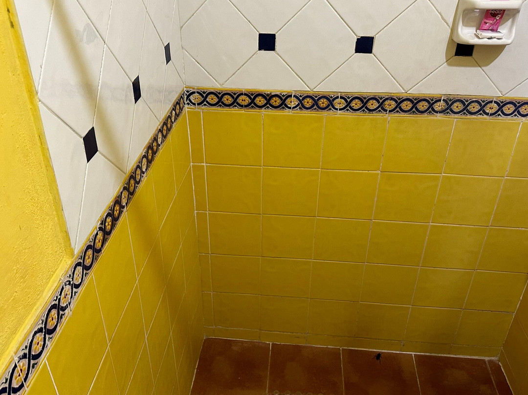 Posada el Jardin主图