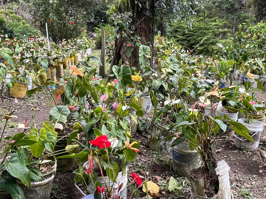 El Nispero Zoo and Botanical Garden景点图片