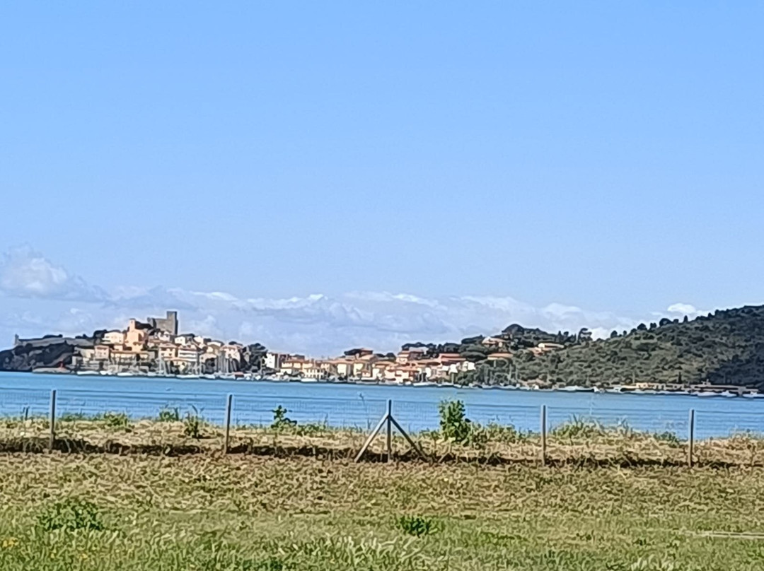 Spiaggia Della Fertilia景点图片